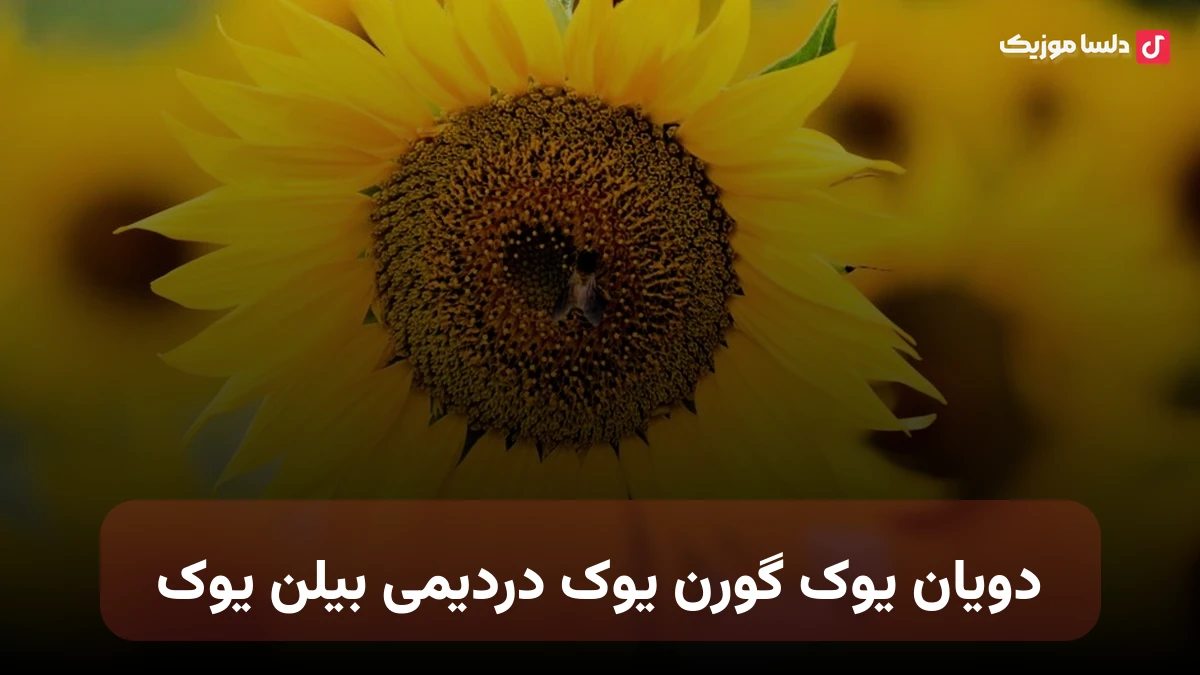 دویان یوک گورن یوک دردیمی بیلن یوک ترکی